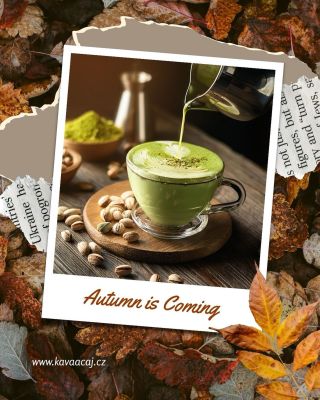 #autumn #matcha #latte #relax #chill #pistacchio