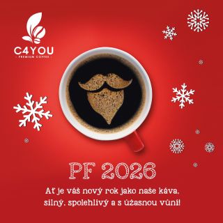 #merrychristmas #vanoce2025 #pf2026